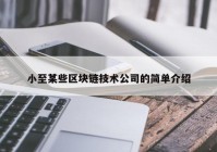 小至某些区块链技术公司的简单介绍