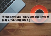 黄凌波区块链公司[黄锫坚区块链是技术和金融两大行业的碰撞和融合]